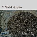 인디언썸머 티스토리