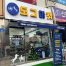 도그마캣묵동점