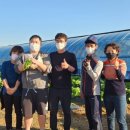 어은농장 이미지