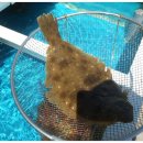 구만횟집 이미지