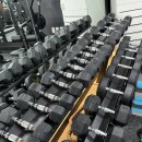 원바디 PT 이미지