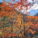 2025년10월26일 정기산행 남설악 흘림골~주전골~오색으로 단풍산행 갑니다. 이미지