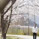 임실한우 이미지