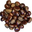 제주살이 10년(5): 우리집을 방문한 손님들 이미지