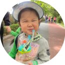 세하유치원 이미지