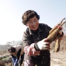 참맛농부 이미지