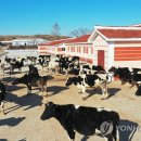 대안목장 이미지