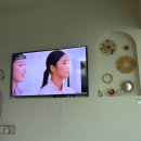 [내돈내산] 태안숙소 오션뷰숙소 비비체풀빌라 후기