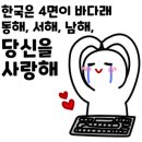 노아노아인테리어