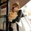 리치동물병원 이미지