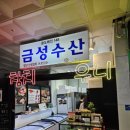 금성회센타