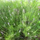 속초해변(남문) 이미지