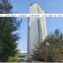 분당-판교-2024 네이버블로그