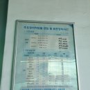 오토오아시스여수 | 여수 오토오아시스 엔진오일 교체 후기