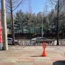 수원-1016 | 수원 영통 브라질리언왁싱 수안뷰티 추천