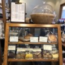 텐퍼센트송도암남공원로점 이미지