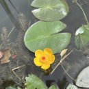 인천대공원(식물원 뒤) 이미지