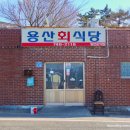경주 현지인 맛집 여행 회덮밥 용산회식당 웨이팅 주차 초장 포장