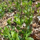 새순1농장 이미지