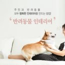 이인테리어 - 남구 신정로17번길 21-1 | 이인테리어