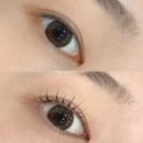 [대구 두류역 속눈썹 맛집] 공드린뷰티 신상 속눈썹펌 필톡스펌 후기