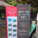 따뜻한 말 한 마디 | 제주 돌문화공원 돌만 있는 곳이 아니다! 꼭 가보시길~! 예쁜풍경 보며 힐링하는 만디와산 브런치