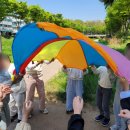 숲과에코협동조합 네이버블로그