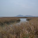 순천만여행 이미지