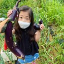 봄농약사 이미지