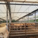 구번지농장 이미지