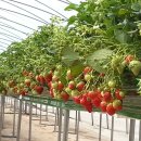 검은들농장 이미지