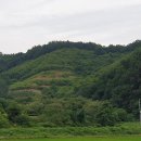 대곡면-1 네이버블로그