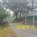 충북땅 토지 촌집 시골집 전원주택 단양 제천부동산 매물/제천시 백운면 전원주택 매매(395)매매완료 이미지