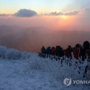 무주연합치과 이미지