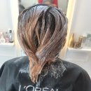 헤어클라라 이미지