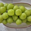 대길농장 이미지