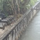 페리알 | 푸켓에서 피피섬 페리 탑승 후기 (예약, 시간, 가격)