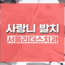 리더스치과의원 이미지