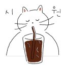대학종로약국 이미지