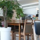 카페(cafe) 아늑