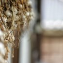 의령 탐진안씨 종택 이미지