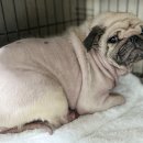 완월동225 이미지