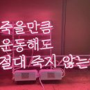 원밀리언핏