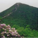 설악산천연보호구역 이미지