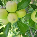 상부농장(2농장) 이미지