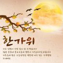 이안안경 이미지