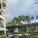 돌고래농장 | 4일차_더 카할라 호텔 돌고래, 레오나즈 베이커리...새우트럭, 돌 파인애플 농장, 와이켈레 아울렛...