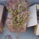 남산농장 이미지