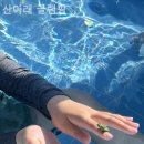 산아래 민박 | 순천만 숙소리뷰, 산아래 글램핑 잘잡았다고 칭찬받는 곳!