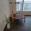 K9워킹독센터 | Review_트램폴린 운동방법 인바디 체중계 추천 활용한 멜킨 머렌 트램폴린 스마트 홈트